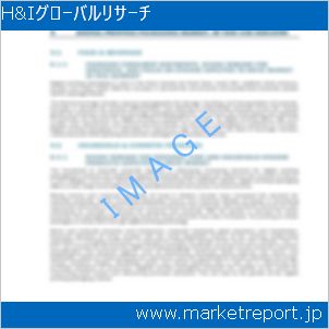 市場と産業調査レポートのイメージ